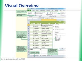 Visual Overview                      XP




New Perspectives on Microsoft Excel 2010        17
 