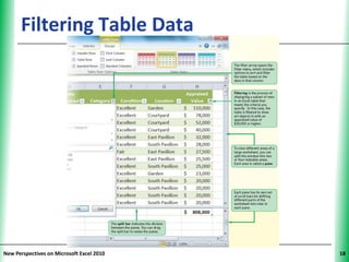 Filtering Table Data                 XP




New Perspectives on Microsoft Excel 2010        18
 