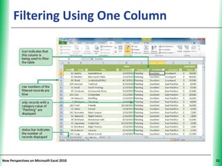 Filtering Using One Column           XP




New Perspectives on Microsoft Excel 2010        21
 
