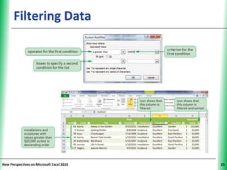 Filtering Data                       XP




New Perspectives on Microsoft Excel 2010        25
 