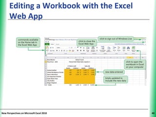 Editing a Workbook with the Excel    XP
      Web App




New Perspectives on Microsoft Excel 2010        40
 