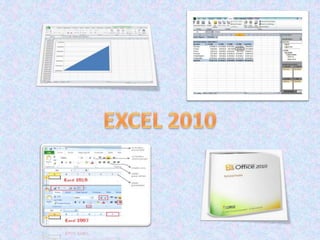 EXCEL 2010