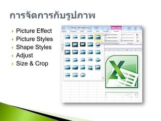 Picture EffectPicture StylesShape StylesAdjustSize & Cropการจัดการกับรูปภาพ