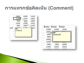 การแทรกข้อคิดเห็น (Comment)
