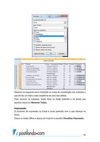 Observe na esquerda que é mostrado os níveis de visualização dos subtotais e
que ele faz um total a cada seqüência do sexo dos atletas.
Para remover os subtotais, basta clicar no botão Subtotal e na janela que
aparece clique em Remover Todos.

Impressão
O processo de impressão no Excel é muito parecido com o que fizemos no
Word.
Clique no botão Office e depois em Imprimir e escolha Visualizar Impressão.




                                                                          53
 