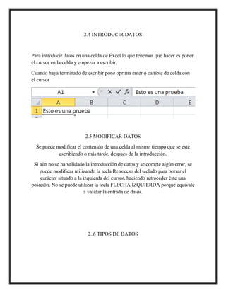 2.4 INTRODUCIR DATOS

Para introducir datos en una celda de Excel lo que tenemos que hacer es poner
el cursor en la celda y empezar a escribir,
Cuando haya terminado de escribir pone oprima enter o cambie de celda con
el cursor

2.5 MODIFICAR DATOS
Se puede modificar el contenido de una celda al mismo tiempo que se esté
escribiendo o más tarde, después de la introducción.
Si aún no se ha validado la introducción de datos y se comete algún error, se
puede modificar utilizando la tecla Retroceso del teclado para borrar el
carácter situado a la izquierda del cursor, haciendo retroceder éste una
posición. No se puede utilizar la tecla FLECHA IZQUIERDA porque equivale
a validar la entrada de datos.

2..6 TIPOS DE DATOS

 
