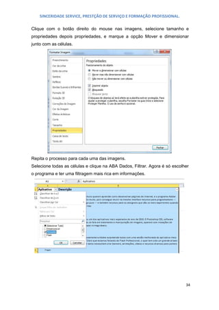 SINCERIDADE SERVICE, PRESTÇÃO DE SERVIÇO E FORMAÇÃO PROFISSIONAL.
Clique com o botão direito do mouse nas imagens, selecione tamanho e
propriedades depois propriedades, e marque a opção Mover e dimensionar
junto com as células.

Repita o processo para cada uma das imagens.
Selecione todas as células e clique na ABA Dados, Filtrar. Agora é só escolher
o programa e ter uma filtragem mais rica em informações.

34

 