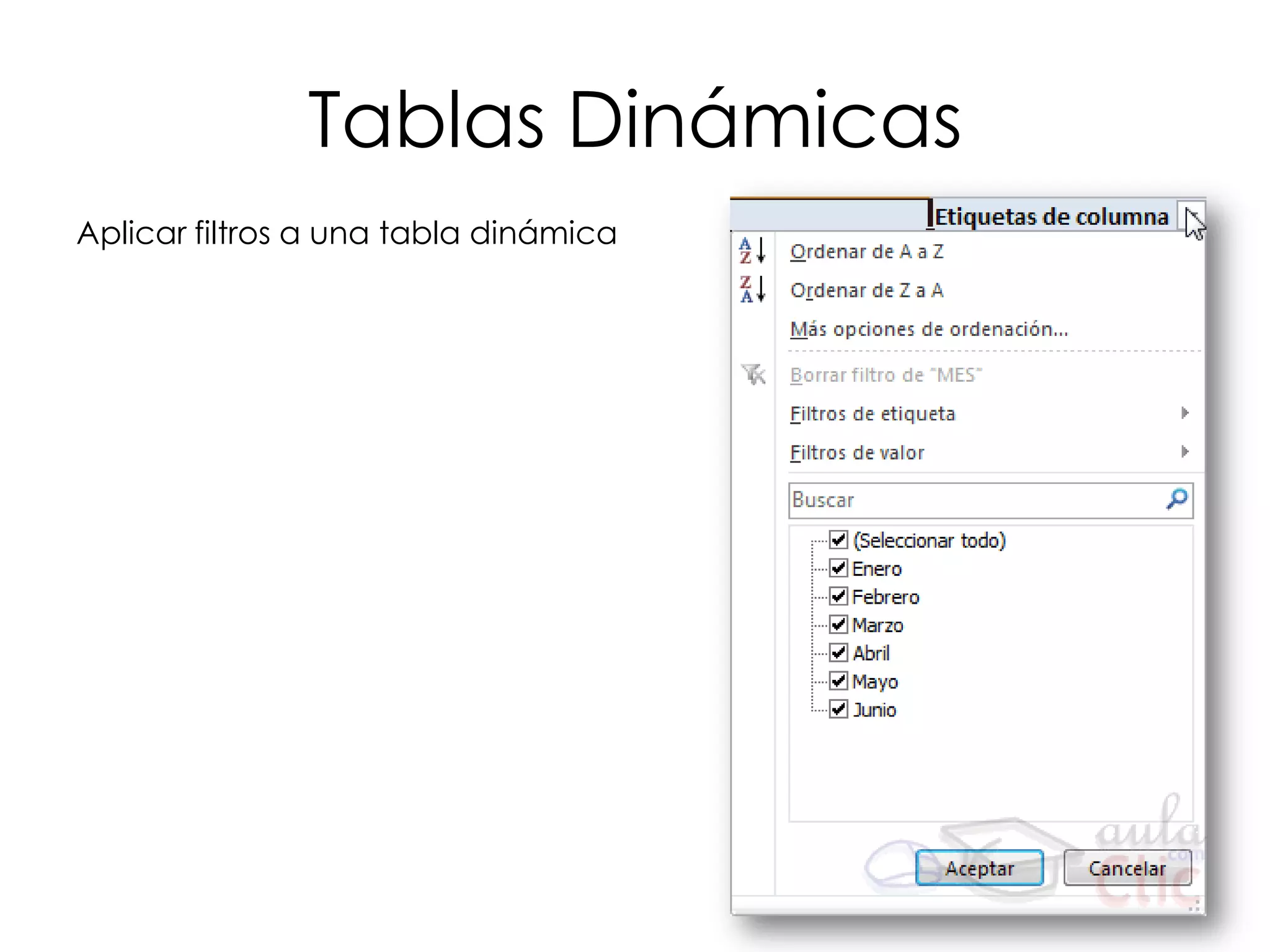 Tablas Dinámicas
Aplicar filtros a una tabla dinámica
 
