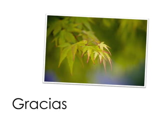 Gracias
 