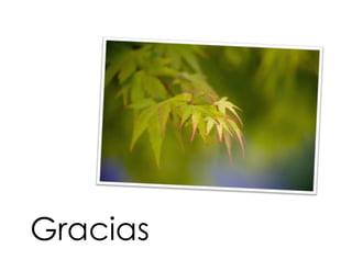 Gracias
 