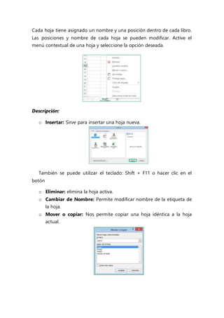 Cada hoja tiene asignado un nombre y una posición dentro de cada libro.
Las posiciones y nombre de cada hoja se pueden modificar. Active el
menú contextual de una hoja y seleccione la opción deseada.
Descripción:
o Insertar: Sirve para insertar una hoja nueva.
También se puede utilizar el teclado: Shift + F11 o hacer clic en el
botón
o Eliminar: elimina la hoja activa.
o Cambiar de Nombre: Permite modificar nombre de la etiqueta de
la hoja.
o Mover o copiar: Nos permite copiar una hoja idéntica a la hoja
actual.
 