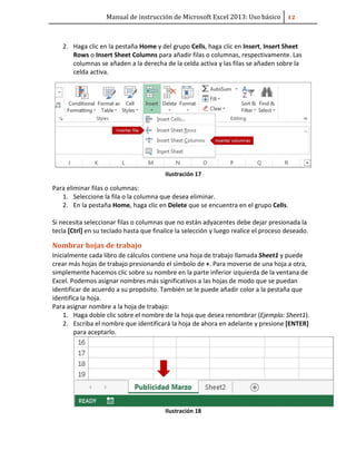 Manual de instrucción de Microsoft Excel 2013: Uso básico ͟͠
2. Haga clic en la pestaña Home y del grupo Cells, haga clic en Insert, Insert Sheet
Rows o Insert Sheet Columns para añadir filas o columnas, respectivamente. Las
columnas se añaden a la derecha de la celda activa y las filas se añaden sobre la
celda activa.
Ilustración 17
Para eliminar filas o columnas:
1. Seleccione la fila o la columna que desea eliminar.
2. En la pestaña Home, haga clic en Delete que se encuentra en el grupo Cells.
Si necesita seleccionar filas o columnas que no están adyacentes debe dejar presionada la
tecla [Ctrl] en su teclado hasta que finalice la selección y luego realice el proceso deseado.
Nombrar hojas de trabajo
Inicialmente cada libro de cálculos contiene una hoja de trabajo llamada Sheet1 y puede
crear más hojas de trabajo presionando el símbolo de +. Para moverse de una hoja a otra,
simplemente hacemos clic sobre su nombre en la parte inferior izquierda de la ventana de
Excel. Podemos asignar nombres más significativos a las hojas de modo que se puedan
identificar de acuerdo a su propósito. También se le puede añadir color a la pestaña que
identifica la hoja.
Para asignar nombre a la hoja de trabajo:
1. Haga doble clic sobre el nombre de la hoja que desea renombrar (Ejemplo: Sheet1).
2. Escriba el nombre que identificará la hoja de ahora en adelante y presione [ENTER]
para aceptarlo.
Ilustración 18
 