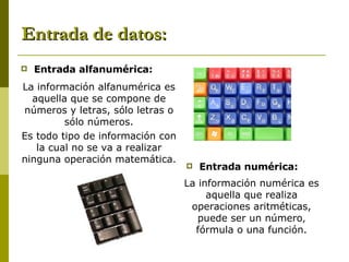 Entrada de datos: Entrada alfanumérica: Entrada numérica: La información alfanumérica es aquella que se compone de números y letras, sólo letras o sólo números. Es todo tipo de información con la cual no se va a realizar ninguna operación matemática. La información numérica es aquella que realiza operaciones aritméticas, puede ser un número ,  fórmula o una función. 