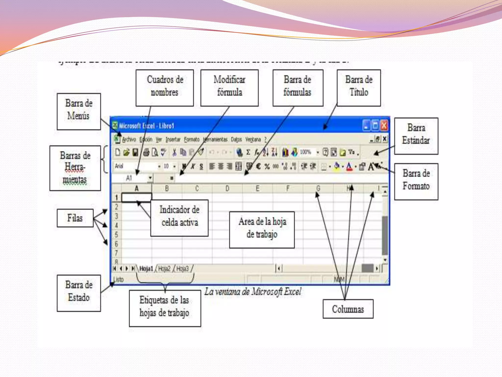 Tipos de datos en las celdas