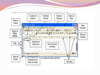 Tipos de datos en las celdas