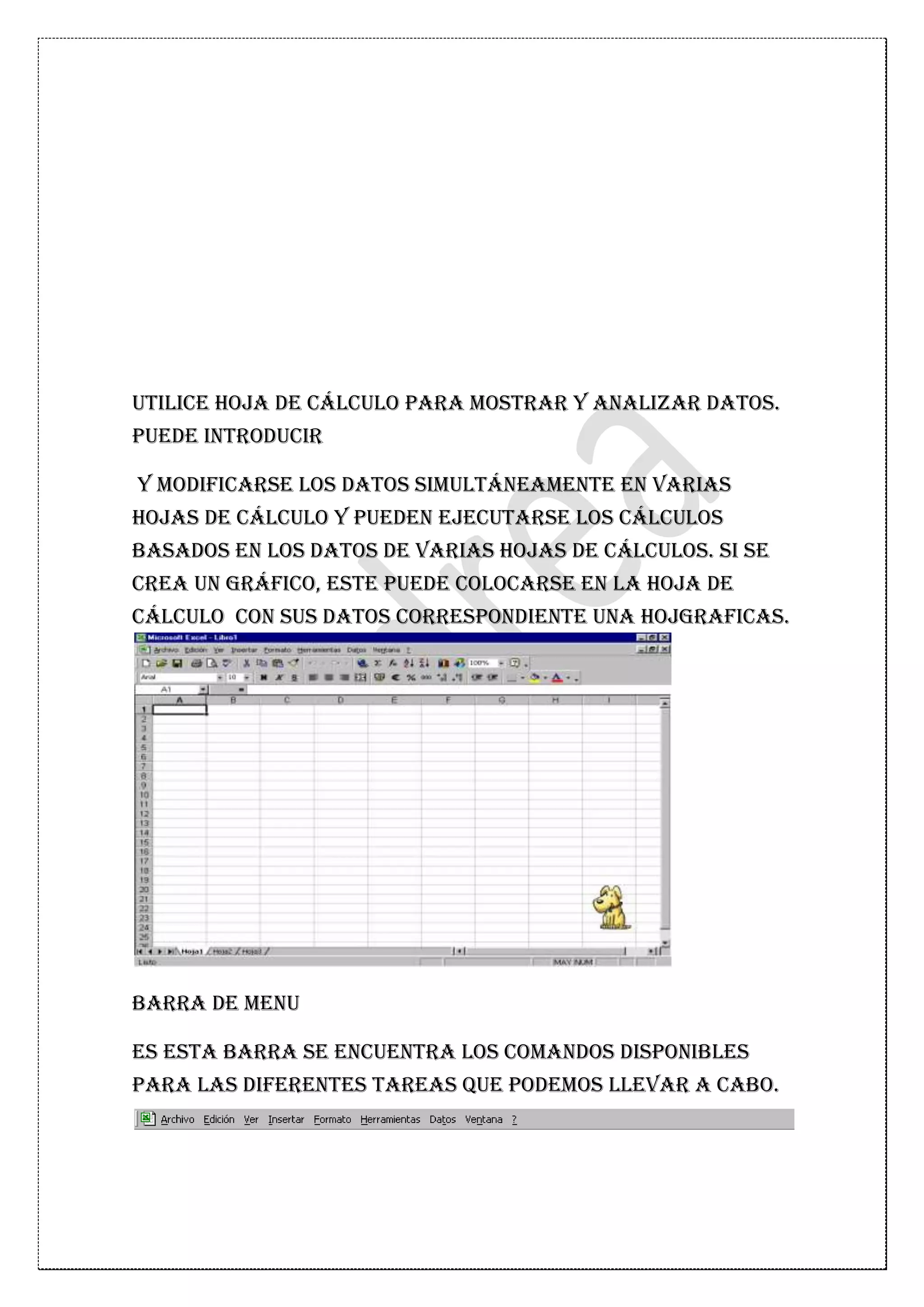 Excel Andrea