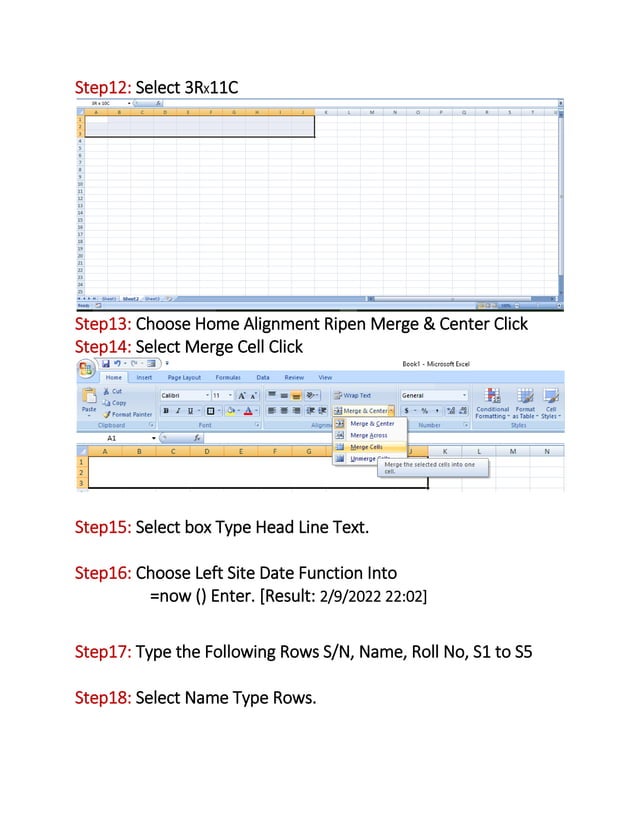 Excel Basic Data Entry | PDF