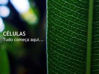 CÉLULAS
Tudo começa aqui...




                      www.gruporma.com.br
 
