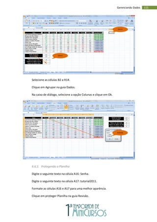 115
Gerenciando Dados
Selecione as células B2 a H14.
Clique em Agrupar na guia Dados.
Na caixa de diálogo, selecione a opção Colunas e clique em Ok.
6.6.5. Protegendo a Planilha
Digite o seguinte texto na célula A16: Senha.
Digite o seguinte texto na célula A17: tutorial2011.
Formate as células A16 e A17 para uma melhor aparência.
Clique em proteger Planilha na guia Revisão.
Ctrl+X
Ctrl+V
Colunas
 