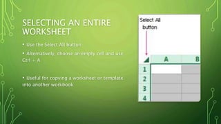 Excel Basics | PPTX