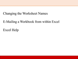 Changing the Worksheet Names
E-Mailing a Workbook from within Excel
Excel Help
 