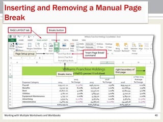 Working with Multiple Worksheets and Workbooks 40
Inserting and Removing a Manual Page
Break
 