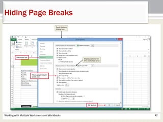 Working with Multiple Worksheets and Workbooks 42
Hiding Page Breaks
 