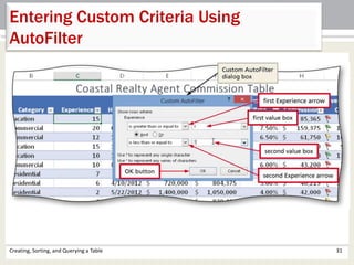 Creating, Sorting, and Querying a Table 31
Entering Custom Criteria Using
AutoFilter
 