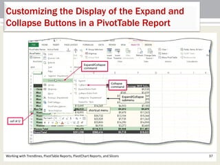 Customizing the Display of the Expand and 
Collapse Buttons in a PivotTable Report 
Working with Trendlines, PivotTable Reports, PivotChart Reports, and Slicers 37 
 