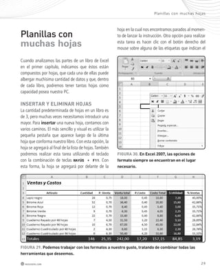 Plani l las con muchas hojas 
hoja en la cual nos encontramos parados al momen-to 
de lanzar la instrucción. Otra opción para realizar 
esta tarea es hacer clic con el botón derecho del 
mouse sobre alguna de las etiquetas que indican el 
FiGURa 30. en excel 2007, las opciones de 
formato siempre se encuentran en el lugar 
necesario. 
Planillas con 
muchas hojas 
Cuando analizamos las partes de un libro de Excel 
en el primer capítulo, indicamos que éstos están 
compuestos por hojas, que cada una de ellas puede 
albergar muchísima cantidad de datos y que, dentro 
de cada libro, podremos tener tantas hojas como 
capacidad posea nuestra PC. 
inseRtaR y eliminaR hojas 
La cantidad predeterminada de hojas en un libro es 
de 3, pero muchas veces necesitamos introducir una 
mayor. Para insertar una nueva hoja, contamos con 
varios caminos. El más sencillo y visual es utilizar la 
pequeña pestaña que aparece luego de la última 
hoja que conforma nuestro libro. Con esta opción, la 
hoja se agregará al final de la lista de hojas. También 
podremos realizar esta tarea utilizando el teclado 
con la combinación de teclas MAYÚS + F11. Con 
esta forma, la hoja se agregará por delante de la 
FiGURa 29. podemos trabajar con los formatos a nuestro gusto, tratando de combinar todas las 
herramientas que deseemos. 
redusers.com 29 
 