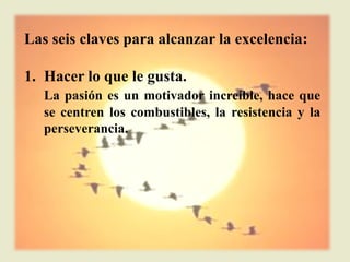 Las seis claves para alcanzar la excelencia:

1. Hacer lo que le gusta.
   La pasión es un motivador increíble, hace que
   se centren los combustibles, la resistencia y la
   perseverancia.
 
