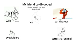 My friend coldblooded
ovoviviparo
Wild
terrestrial animal
carnivorousBoa
Student: Alejandra Sofia Peña
Grade: First B
 