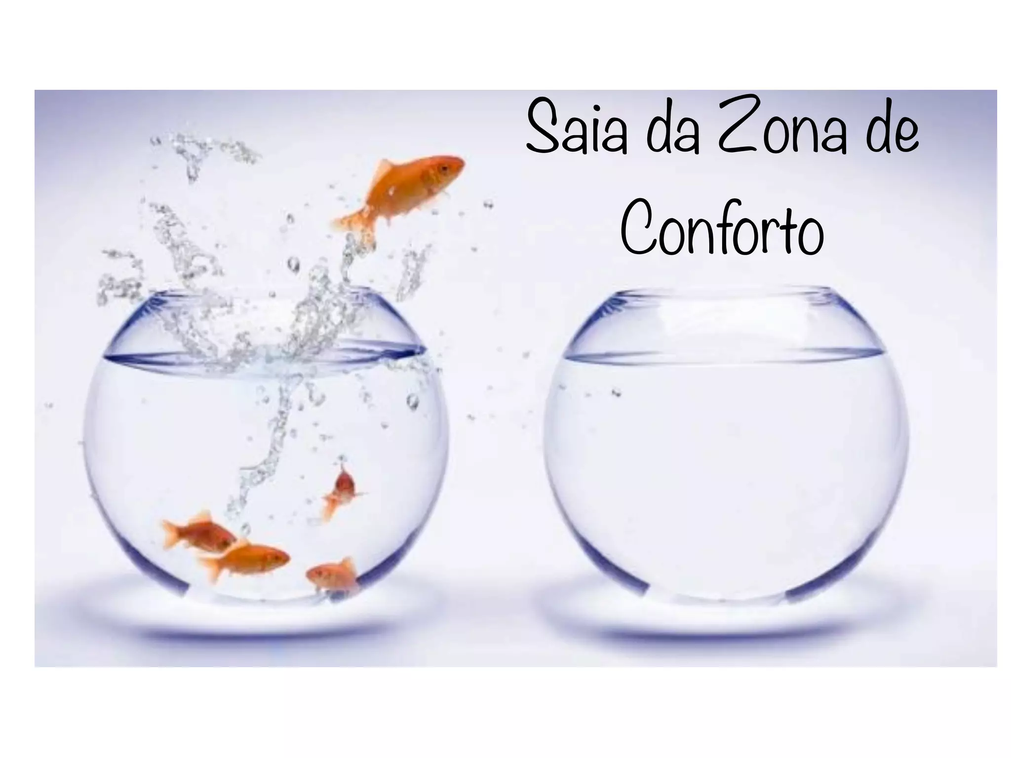 Saia da Zona de
   Conforto
 
