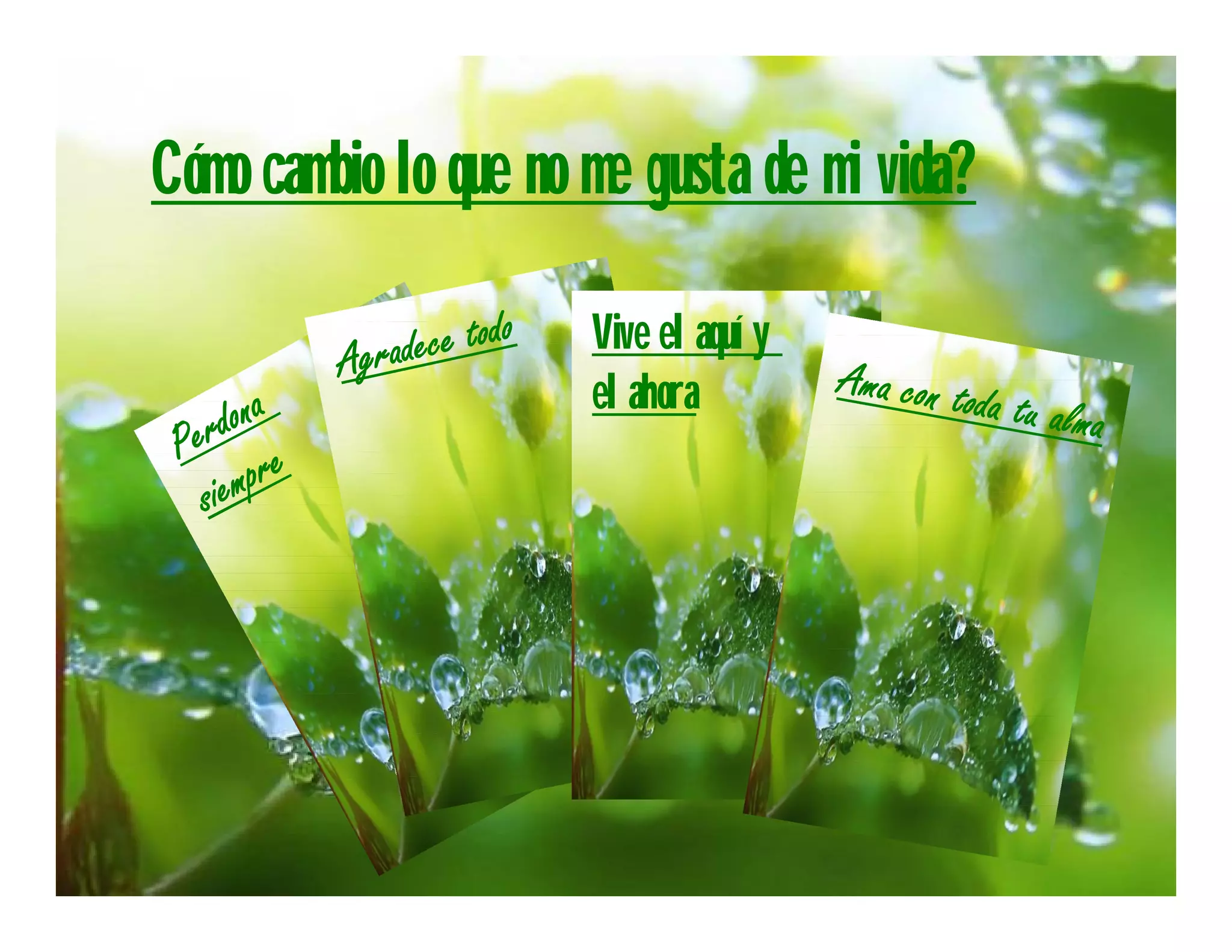 Cómo cambio lo que no me gusta de mi vida?

                      Vive el aquí y
                      el ahora
 