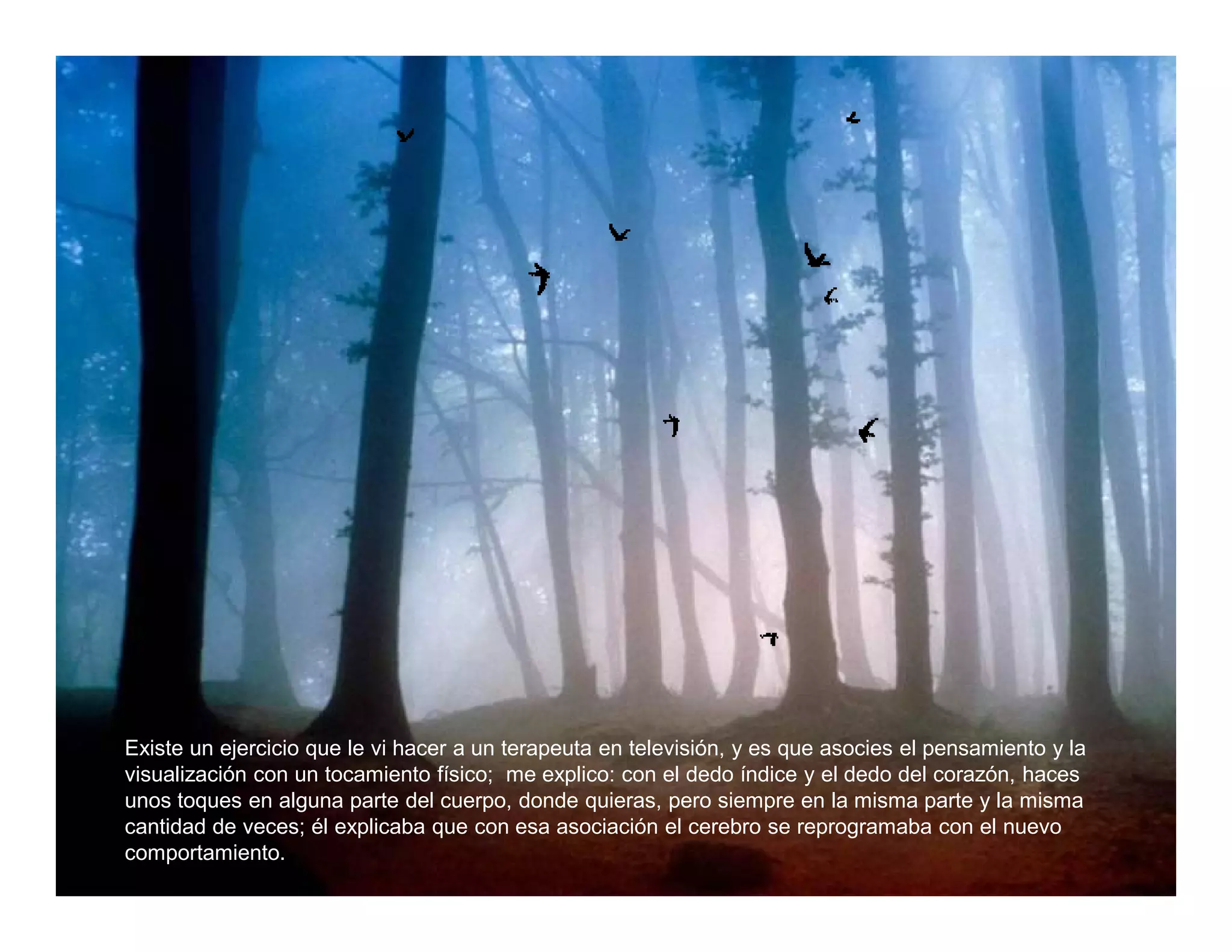 Existe un ejercicio que le vi hacer a un terapeuta en televisión, y es que asocies el pensamiento y la
visualización con un tocamiento físico; me explico: con el dedo índice y el dedo del corazón, haces
unos toques en alguna parte del cuerpo, donde quieras, pero siempre en la misma parte y la misma
cantidad de veces; él explicaba que con esa asociación el cerebro se reprogramaba con el nuevo
comportamiento.
 