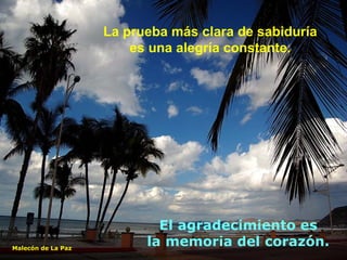 La prueba más clara de sabiduría  es una alegría constante.   El agradecimiento es  la memoria del corazón.   Malecón de La Paz 