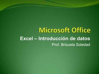 Excel – Introducción de datos
Prof. Brizuela Soledad

 