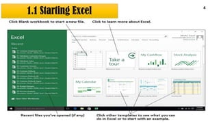 1.1 Starting Excel
4
 