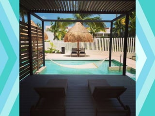 Excellence el carmen josh