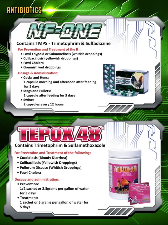 Excellence gamefowl catalogue 1 pvma PDF