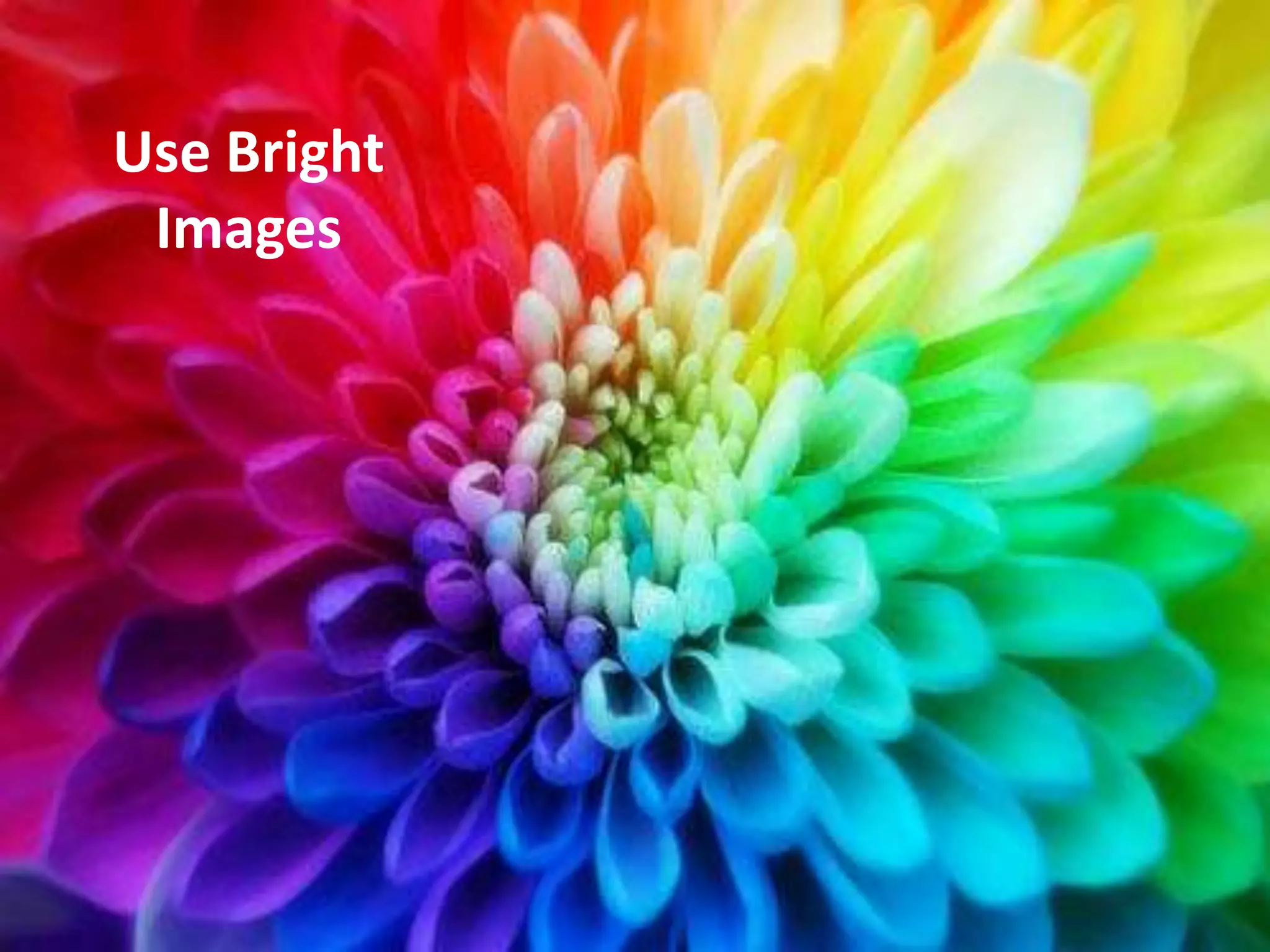 Use Bright
 Images
 
