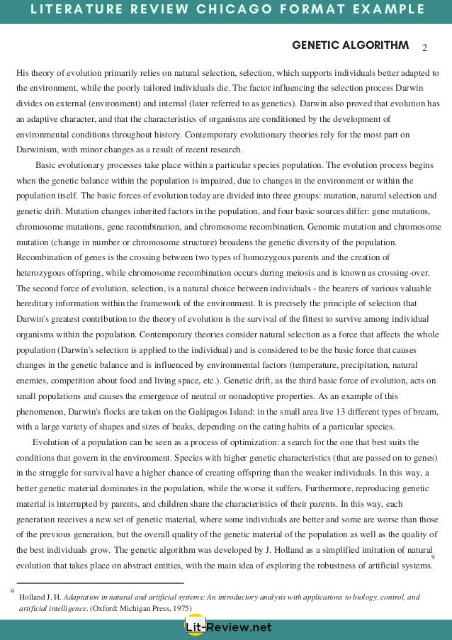 How to do a literature review picture