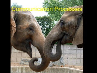 Communication Processes 