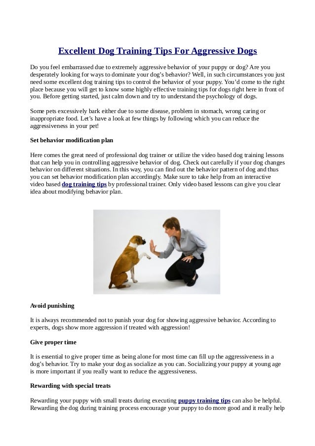 dog trainer for aggressive dogs