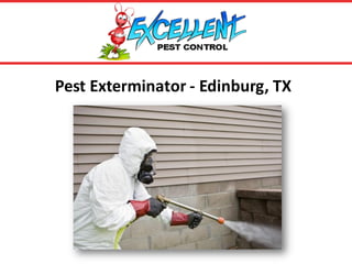 Pest Exterminator - Edinburg, TX
 