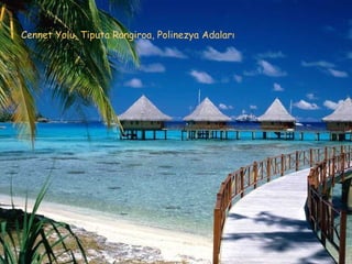 Cennet Yolu,  Tiputa Rangiroa ,  Pol i ne zy a  Adaları   