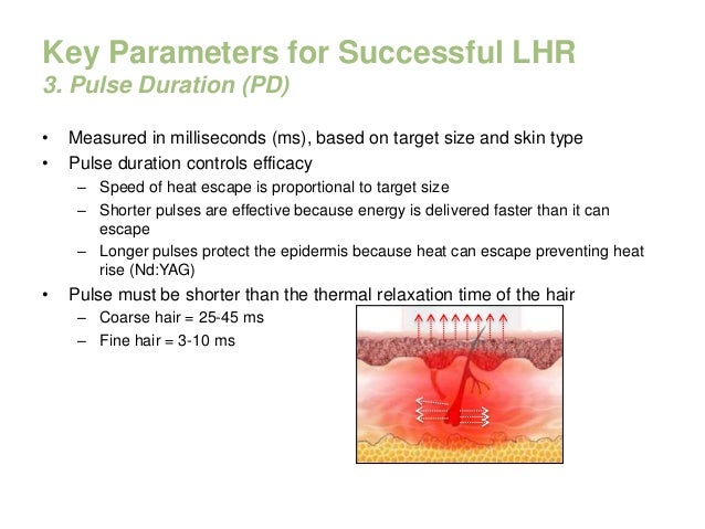 Laser Hair Removal And Vascular Treatment With Excell Hr Laser