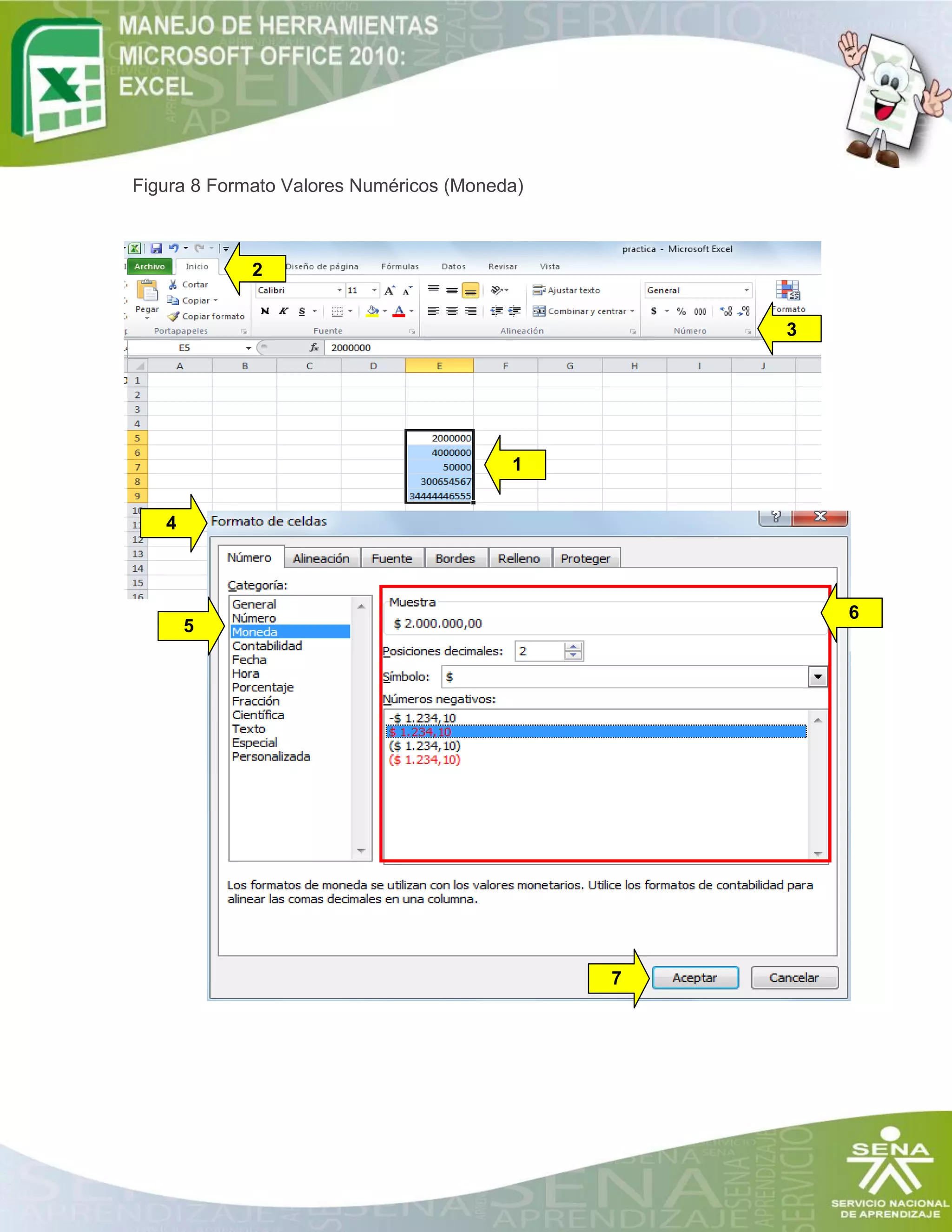 Figura 8 Formato Valores Numéricos (Moneda)
2
1
3
4
5
6
7
 