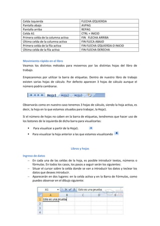 Manual Básico de Excel 2007 | PDF