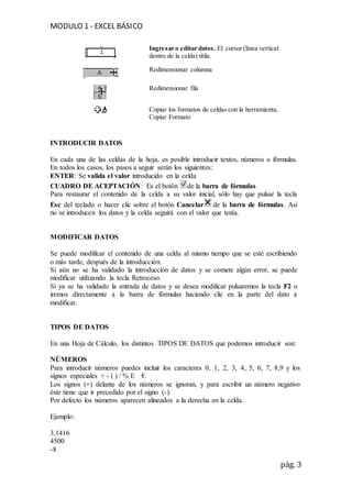 MODULO 1 - EXCEL BÁSICO
pág. 3
Ingresar o editar datos. El cursor (línea vertical
dentro de la celda) titila.
Redimensionar columna
Redimensionar fila
Copiar los formatos de celdas con la herramienta,
Copiar Formato
INTRODUCIR DATOS
En cada una de las celdas de la hoja, es posible introducir textos, números o fórmulas.
En todos los casos, los pasos a seguir serán los siguientes:
ENTER: Se valida el valor introducido en la celda
CUADRO DE ACEPTACIÓN: Es el botón de la barra de fórmulas.
Para restaurar el contenido de la celda a su valor inicial, sólo hay que pulsar la tecla
Esc del teclado o hacer clic sobre el botón Cancelar de la barra de fórmulas. Así
no se introducen los datos y la celda seguirá con el valor que tenía.
MODIFICAR DATOS
Se puede modificar el contenido de una celda al mismo tiempo que se esté escribiendo
o más tarde, después de la introducción.
Si aún no se ha validado la introducción de datos y se comete algún error, se puede
modificar utilizando la tecla Retroceso.
Si ya se ha validado la entrada de datos y se desea modificar pulsaremos la tecla F2 o
iremos directamente a la barra de fórmulas haciendo clic en la parte del dato a
modificar.
TIPOS DE DATOS
En una Hoja de Cálculo, los distintos TIPOS DE DATOS que podemos introducir son:
NÚMEROS
Para introducir números puedes incluir los caracteres 0, 1, 2, 3, 4, 5, 6, 7, 8,9 y los
signos especiales + - ( ) / % E €.
Los signos (+) delante de los números se ignoran, y para escribir un número negativo
éste tiene que ir precedido por el signo (-).
Por defecto los números aparecen alineados a la derecha en la celda.
Ejemplo:
3,1416
4500
-8
 